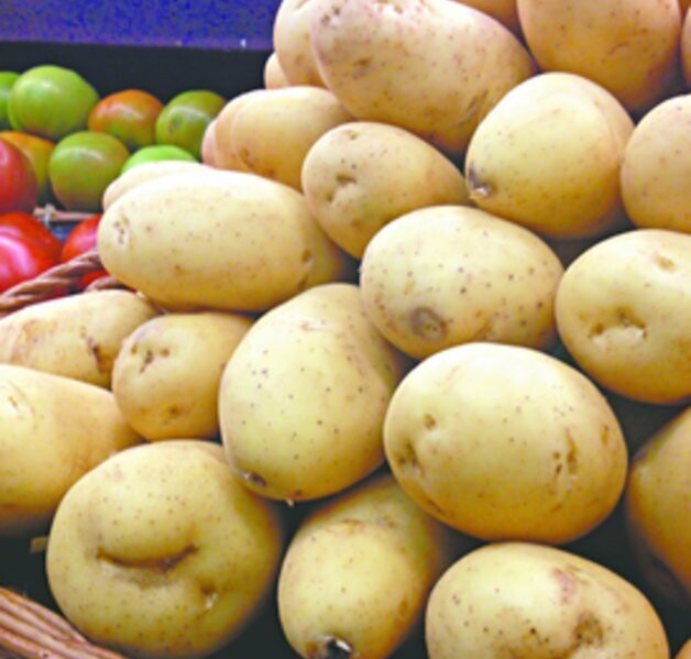 Fazenda Recanto Feliz