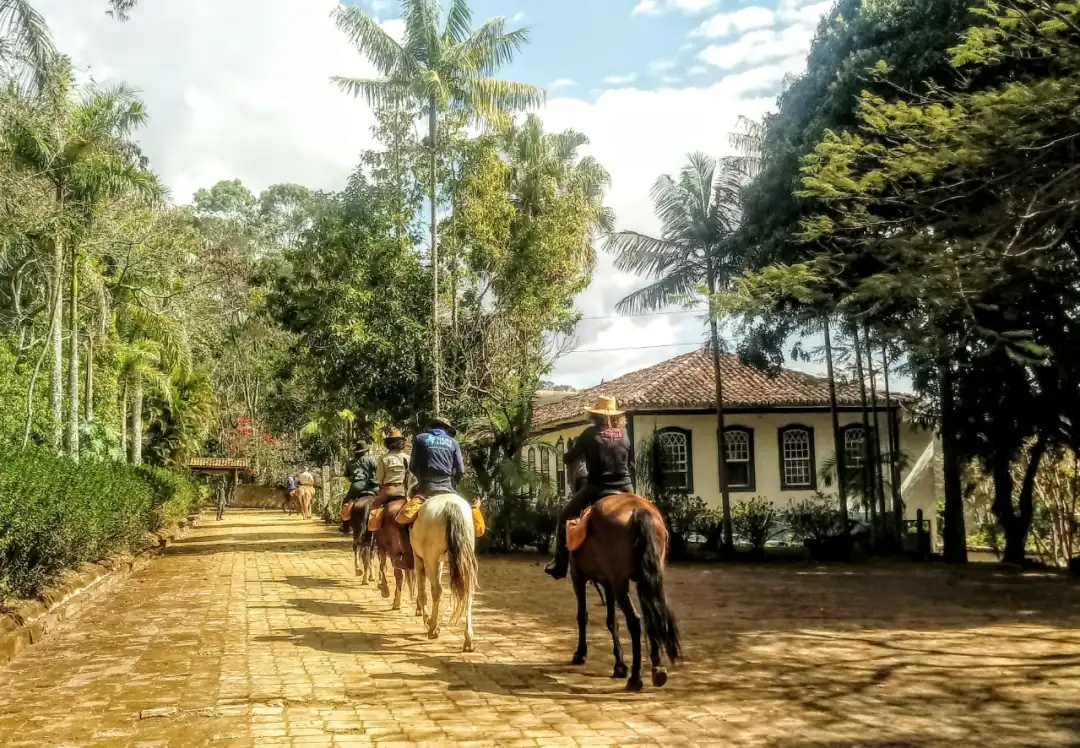 Fazenda Recanto Feliz