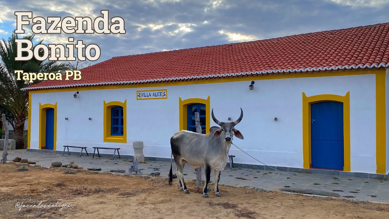 Fazenda Recanto Feliz