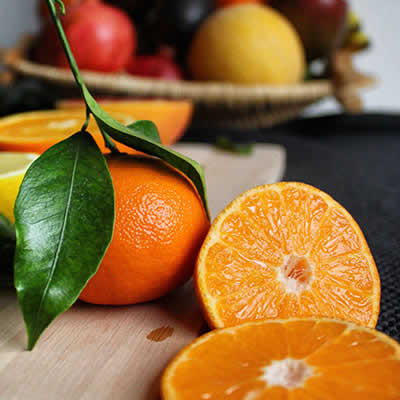 Fazenda Recanto Feliz